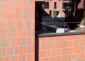 КИРПИЧ ROBEN WESTWRWALD ROT-BUNT